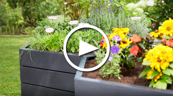 Benefits and installation of the Ergo Raised bed